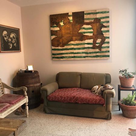 Posada Barbario Con 4 Habitaciones Oaxaca Eksteriør bilde